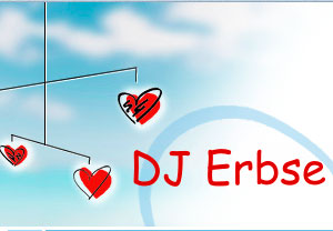 Hochzeit Sachsen-Anhalt - Details zu DJ ERBSE - Ihr DJ fr die Hochzeit